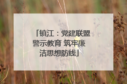 镇江：党建联盟警示教育 筑牢廉洁思想防线