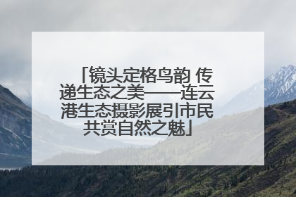 镜头定格鸟韵 传递生态之美——连云港生态摄影展引市民共赏自然之魅