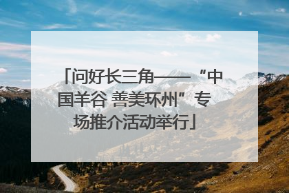 问好长三角——“中国羊谷 善美环州”专场推介活动举行