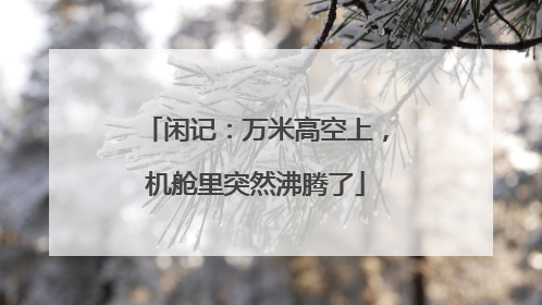闲记：万米高空上，机舱里突然沸腾了