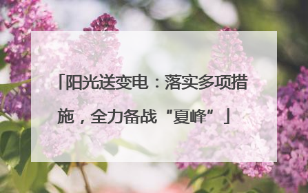 阳光送变电：落实多项措施，全力备战“夏峰”