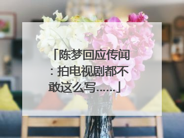 陈梦回应传闻：拍电视剧都不敢这么写……