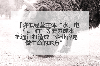 降低经营主体“水、电、气、油”等要素成本 把通江打造成“企业容易做生意的地方”