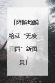 降解地膜绘就“无废田园”新图景