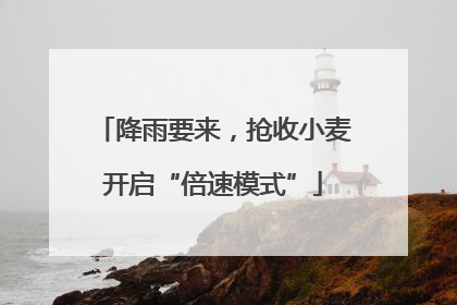 降雨要来，抢收小麦开启“倍速模式”