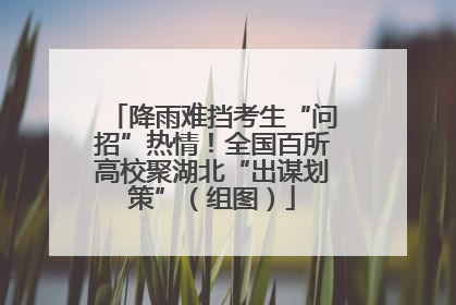 降雨难挡考生“问招”热情！全国百所高校聚湖北“出谋划策”（组图）
