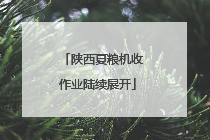 陕西夏粮机收作业陆续展开