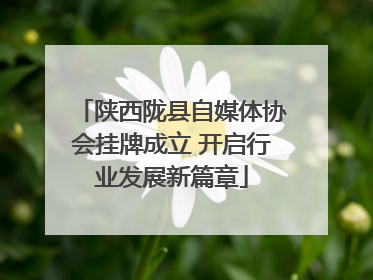 陕西陇县自媒体协会挂牌成立 开启行业发展新篇章