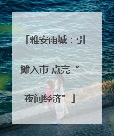 雅安雨城：引摊入市 点亮“夜间经济”