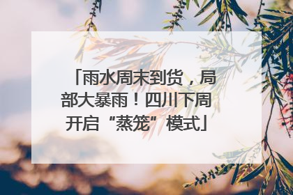 雨水周末到货，局部大暴雨！四川下周开启“蒸笼”模式