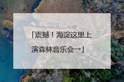 震撼！海淀这里上演森林音乐会→