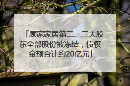 顾家家居第二、三大股东全部股份被冻结，债权金额合计约20亿元