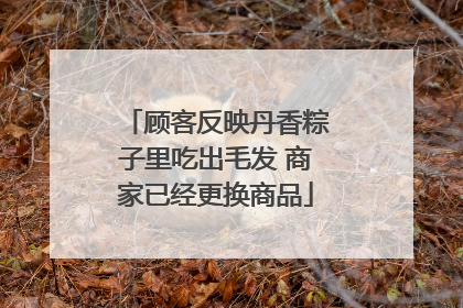 顾客反映丹香粽子里吃出毛发 商家已经更换商品