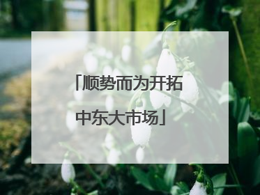 顺势而为开拓中东大市场
