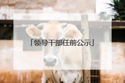 领导干部任前公示