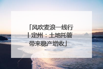 风吹麦浪一线行丨定州：土地托管带来稳产增收