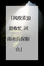 风吹麦浪夏收忙 河南老兵保粮仓