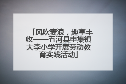 风吹麦浪，趣享丰收——五河县申集镇大李小学开展劳动教育实践活动