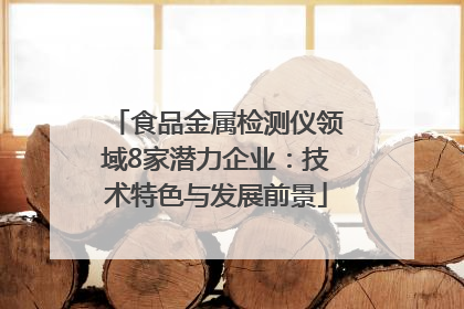 食品金属检测仪领域8家潜力企业：技术特色与发展前景
