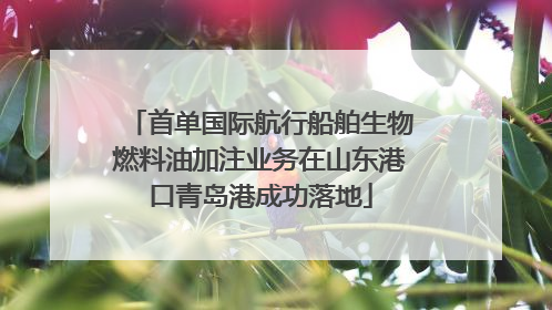 首单国际航行船舶生物燃料油加注业务在山东港口青岛港成功落地