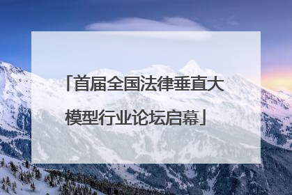 首届全国法律垂直大模型行业论坛启幕