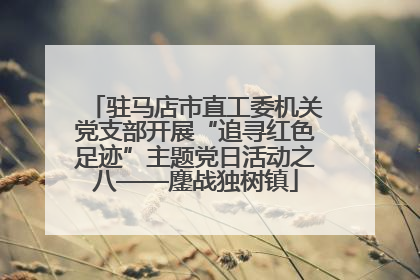 驻马店市直工委机关党支部开展“追寻红色足迹”主题党日活动之八——鏖战独树镇