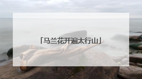 马兰花开遍太行山
