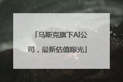 马斯克旗下AI公司，最新估值曝光