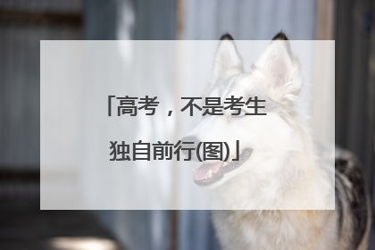 高考，不是考生独自前行(图)