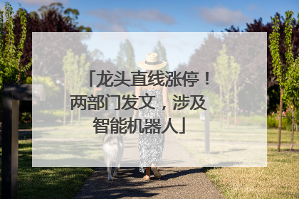 龙头直线涨停！两部门发文，涉及智能机器人