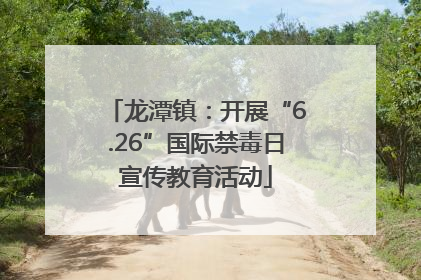 龙潭镇：开展“6.26”国际禁毒日宣传教育活动