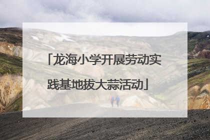 龙海小学开展劳动实践基地拔大蒜活动