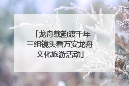 龙舟载韵渡千年 三组镜头看万安龙舟文化旅游活动