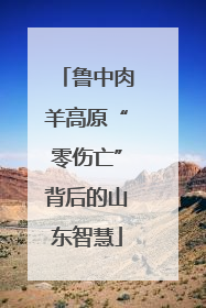 鲁中肉羊高原“零伤亡”背后的山东智慧