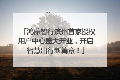 鸿蒙智行滨州首家授权用户中心盛大开业，开启智慧出行新篇章！