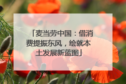 麦当劳中国：借消费提振东风，绘就本土发展新蓝图