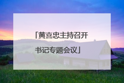 黄喜忠主持召开书记专题会议