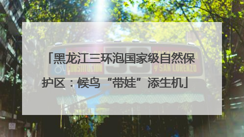 黑龙江三环泡国家级自然保护区：候鸟“带娃”添生机