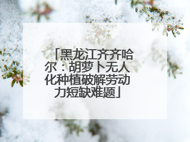 黑龙江齐齐哈尔：胡萝卜无人化种植破解劳动力短缺难题