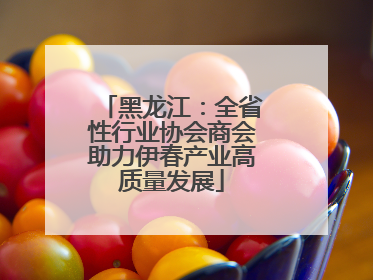 黑龙江：全省性行业协会商会助力伊春产业高质量发展