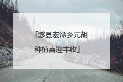黟县宏潭乡元胡种植喜迎丰收