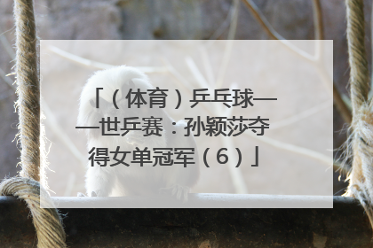 （体育）乒乓球——世乒赛：孙颖莎夺得女单冠军（6）