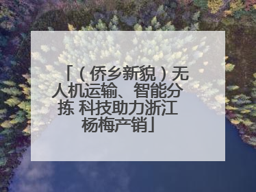 （侨乡新貌）无人机运输、智能分拣 科技助力浙江杨梅产销