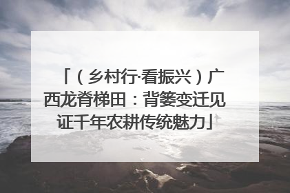 （乡村行·看振兴）广西龙脊梯田：背篓变迁见证千年农耕传统魅力
