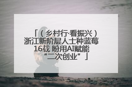 （乡村行·看振兴）浙江新阶层人士种蓝莓16载 盼用AI赋能“二次创业”