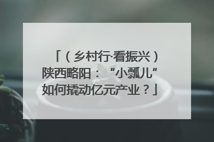 （乡村行·看振兴）陕西略阳：“小瓢儿”如何撬动亿元产业？