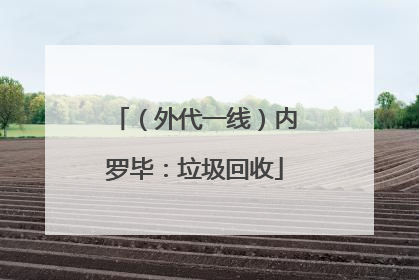 （外代一线）内罗毕：垃圾回收
