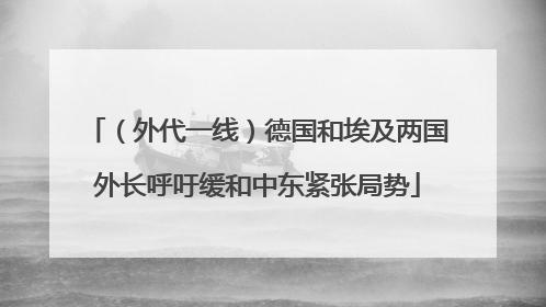 （外代一线）德国和埃及两国外长呼吁缓和中东紧张局势