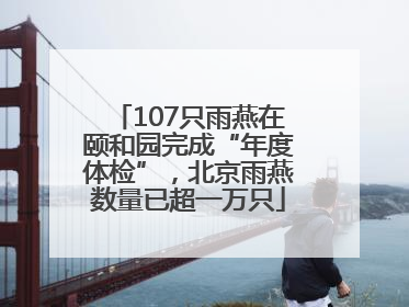107只雨燕在颐和园完成“年度体检”，北京雨燕数量已超一万只