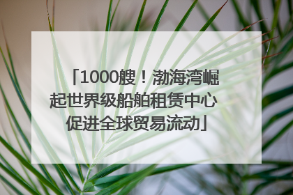 1000艘！渤海湾崛起世界级船舶租赁中心 促进全球贸易流动